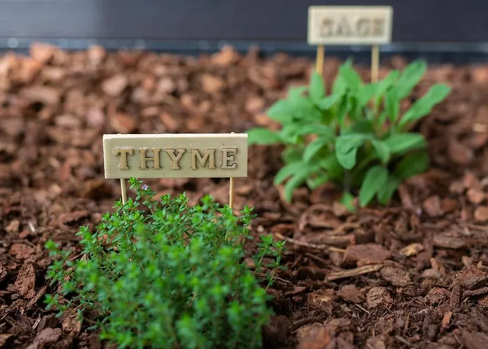 Diamar With Seaview شقة